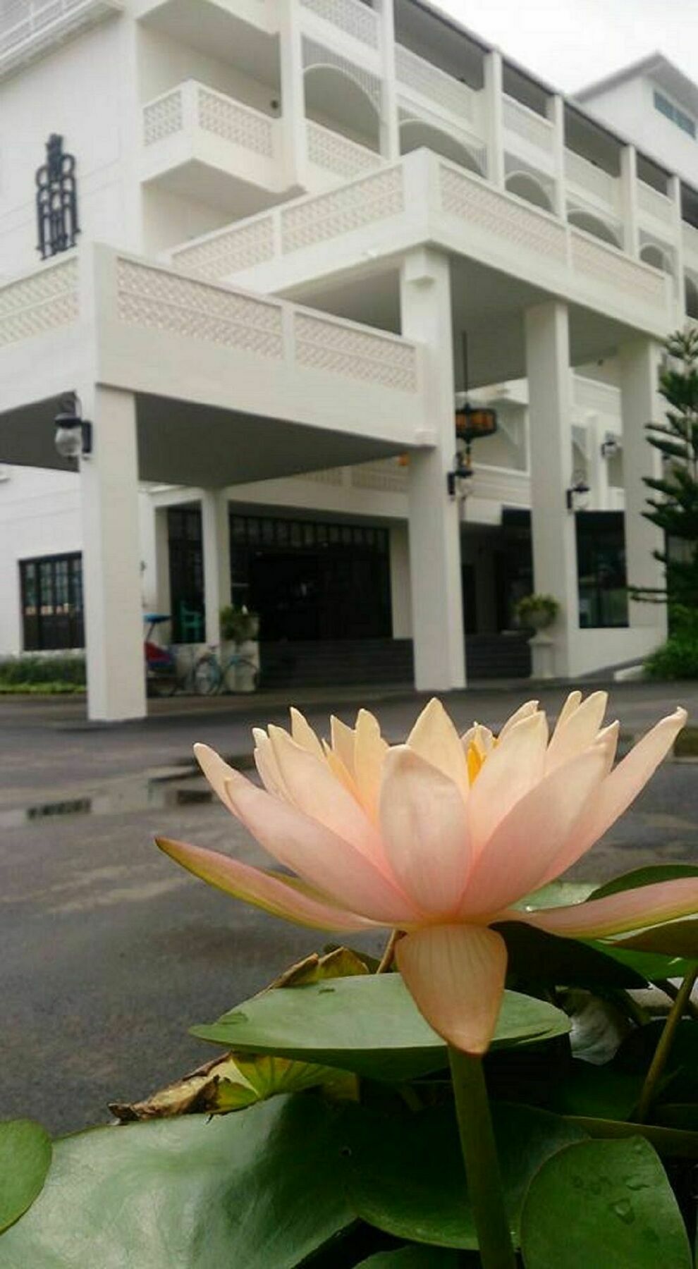 Koranaree Courtyard Boutique Hotel Nakhonratcsaszima Kültér fotó